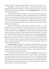 Vertybiniai popieriai ir jų vaidmuo ekonomikoje 15 puslapis