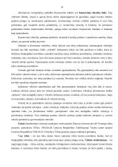 Vertybiniai popieriai ir jų vaidmuo ekonomikoje 16 puslapis