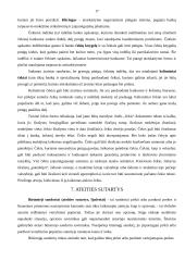 Vertybiniai popieriai ir jų vaidmuo ekonomikoje 17 puslapis