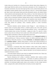 Vertybiniai popieriai ir jų vaidmuo ekonomikoje 18 puslapis