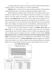 Vertybiniai popieriai ir jų vaidmuo ekonomikoje 8 puslapis