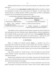 Vertybiniai popieriai ir jų vaidmuo ekonomikoje 10 puslapis