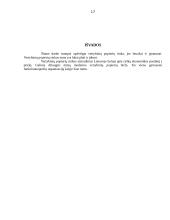 Vertybinių popierių rinka Lietuvoje 17 puslapis