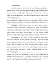 Vertinimo pokalbis. Vadovų ir pavaldinių santykiai 12 puslapis