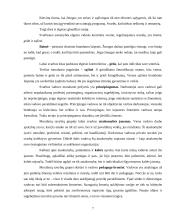 Vertinimo pokalbis. Vadovų ir pavaldinių santykiai 7 puslapis