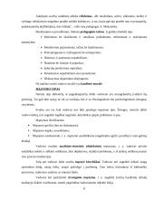 Vertinimo pokalbis. Vadovų ir pavaldinių santykiai 8 puslapis