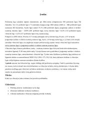 Vibracijos įtaka organizmui, poveikio profilaktika 2 puslapis