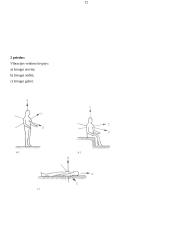 Vibracijos įtaka organizmui, poveikio profilaktika 12 puslapis