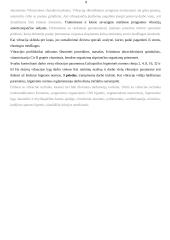 Vibracijos įtaka organizmui, poveikio profilaktika 8 puslapis