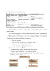 Vidiniai ir išoriniai veiksniai įtakojantys organizacijos valdymą: UAB "Dainava" 11 puslapis