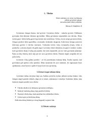 Vidinių įsitikinimų peržiūra ir keitimas siekiant iškeltų tikslų 4 puslapis
