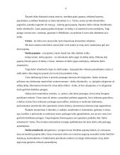 Vienetinio darbo užmokesčio sistema 4 puslapis