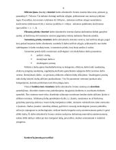 Vienetinio darbo užmokesčio sistema 8 puslapis