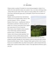 Vienos dienos turas Kuršių Nerijoje 10 puslapis