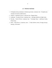 Vienos dienos turas Kuršių Nerijoje 3 puslapis