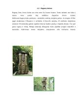 Vienos dienos turas Kuršių Nerijoje 6 puslapis