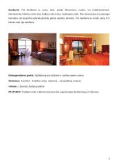 Viešbučiai: tinklas "Radison SAS" 2 puslapis