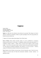 Viešbučiai: tinklas "Radison SAS" 11 puslapis