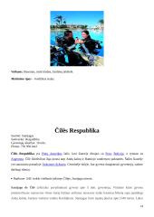 Viešbučiai: tinklas "Radison SAS" 13 puslapis