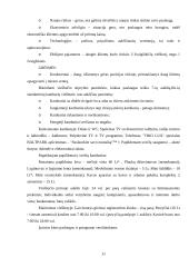 Viešbučio marketingo tyrimas: "Baltpark" 11 puslapis