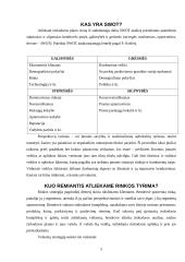 Viešbučio marketingo tyrimas: "Baltpark" 5 puslapis