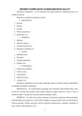 Viešbučio marketingo tyrimas: "Baltpark" 7 puslapis