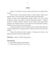 Viešbučių lyginamoji analizė: "Stikliai" ir "Narutis" 2 puslapis