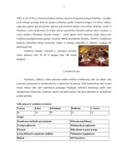 Viešbučių lyginamoji analizė: "Stikliai" ir "Narutis" 7 puslapis