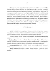 Viešbučių lyginamoji analizė: "Stikliai" ir "Narutis" 8 puslapis