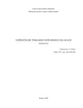 Viešbučių teikiamos papildomos paslaugos