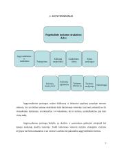 Viešbučių teikiamos papildomos paslaugos 5 puslapis