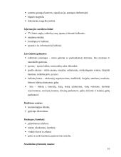 Viešbučių teikiamos papildomos paslaugos 10 puslapis