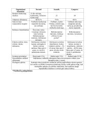 Viešbučių veiklos analizė: "Novotel". Turizmo agentūrų veiklos tyrimas: "Krantas Travel" 12 puslapis