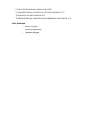 Viešbučių veiklos analizė: "Novotel". Turizmo agentūrų veiklos tyrimas: "Krantas Travel" 20 puslapis