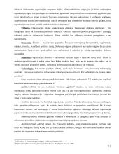 Viešojo administravimo organizacijų ypatybės, vidinė ir išorinė aplinka 11 puslapis