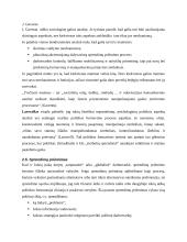 Viešojo administravimo vaidmuo politikos formavimo procese. Inkrementalistinis sprendimų priėmimo modelis 16 puslapis