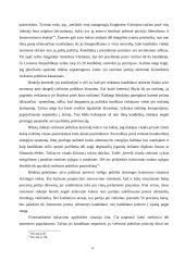 Viešosios politikos dalyviai 4 puslapis