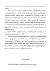 Viešosios politikos dalyviai 7 puslapis