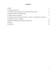 Vietos valdžios institucijų vadybos strategija 2 puslapis