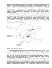 Vietos valdžios institucijų vadybos strategija 12 puslapis