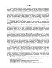 Vietos valdžios institucijų vadybos strategija 3 puslapis