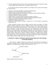 Vietos valdžios institucijų vadybos strategija 6 puslapis