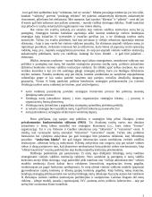 Vietos valdžios institucijų vadybos strategija 9 puslapis