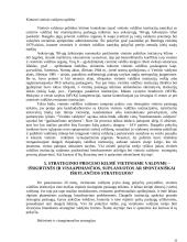 Vietos valdžios institucijų vadybos strategija 10 puslapis