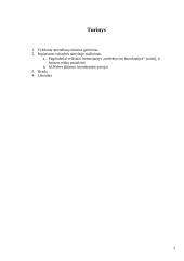 Vykdomų sprendimų sistemos gerinimas, popierizmo valstybės tarnyboje mažinimas 2 puslapis