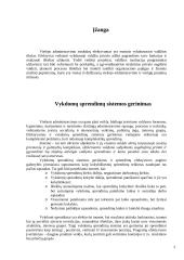 Vykdomų sprendimų sistemos gerinimas, popierizmo valstybės tarnyboje mažinimas 3 puslapis