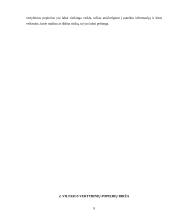 Vilniaus vertybinių popierių rinka 7 puslapis