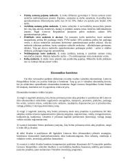 Vyriausybės vaidmuo ekonomikoje 5 puslapis