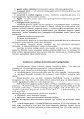 Vyriausybės vaidmuo ekonomikoje 7 puslapis