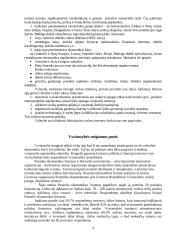 Vyriausybės vaidmuo ekonomikoje 8 puslapis